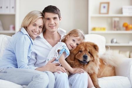 Deciding Between Leather, Microfiber or Fabric as a Pet Parent