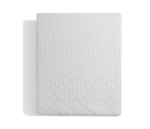Dri-Tec Mattress Protector