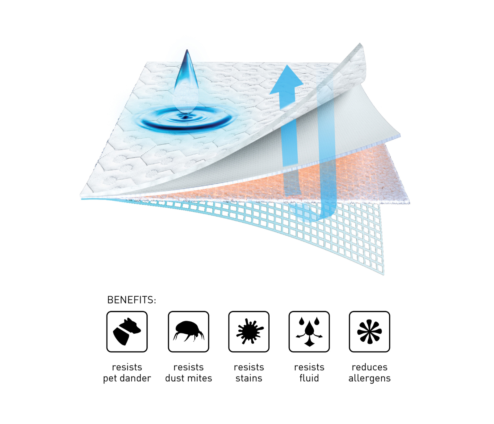 Dri Tec Mattress Protector