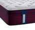 Maple Leaf Kamloops Euro-Top - Medium
