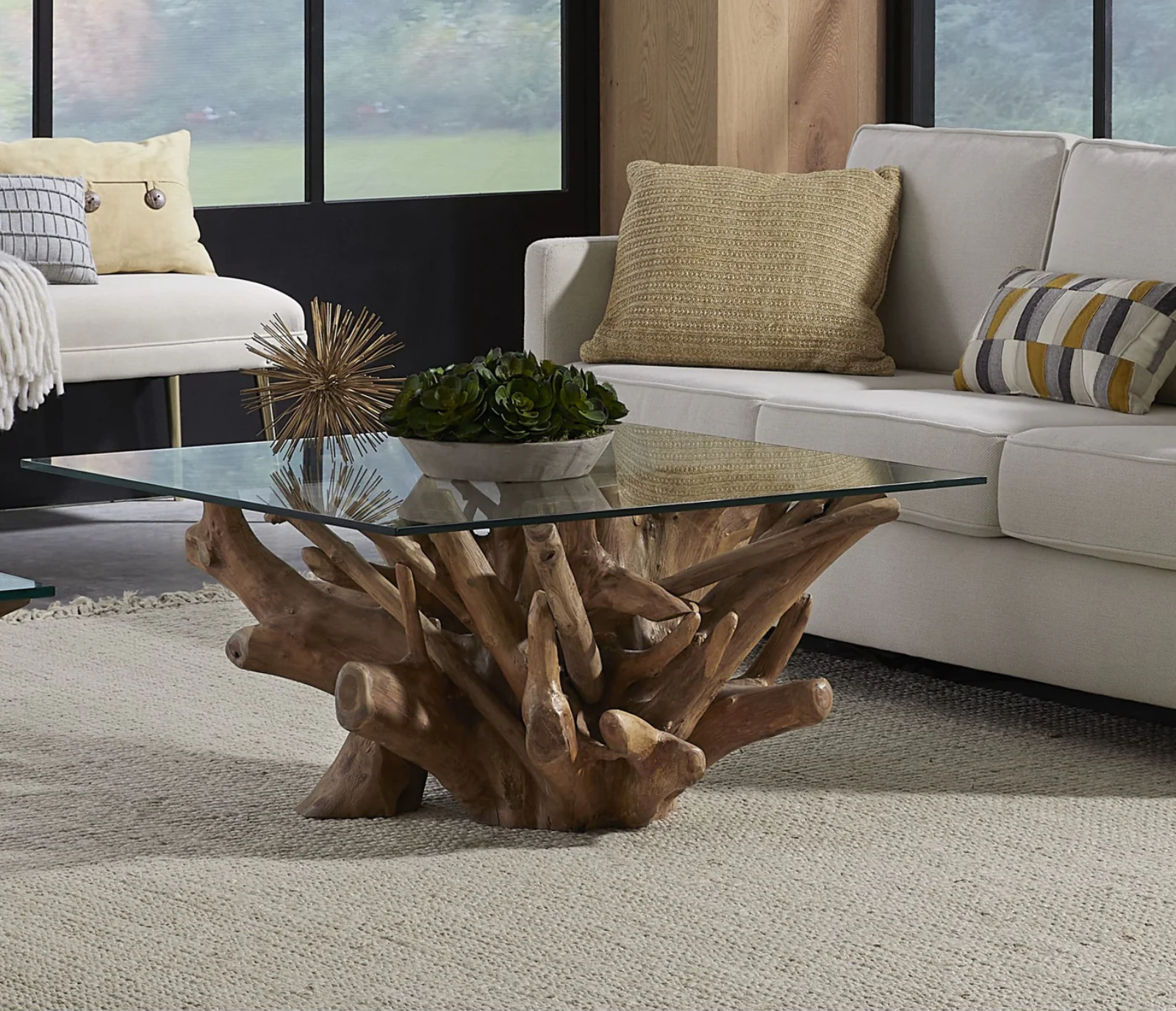 One Teak Root Glass Top Coffee Table
