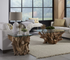 One Teak Root Glass Top Coffee Table