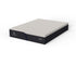 Serta iComfort Obsession - Medium