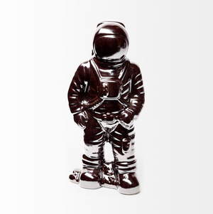 Aldrin An Astronaut