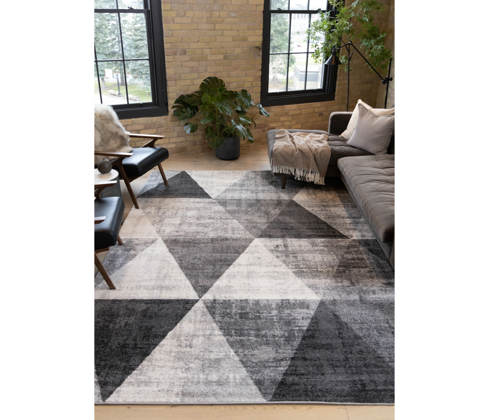 Focus - Area Rug - Grey / Cream
