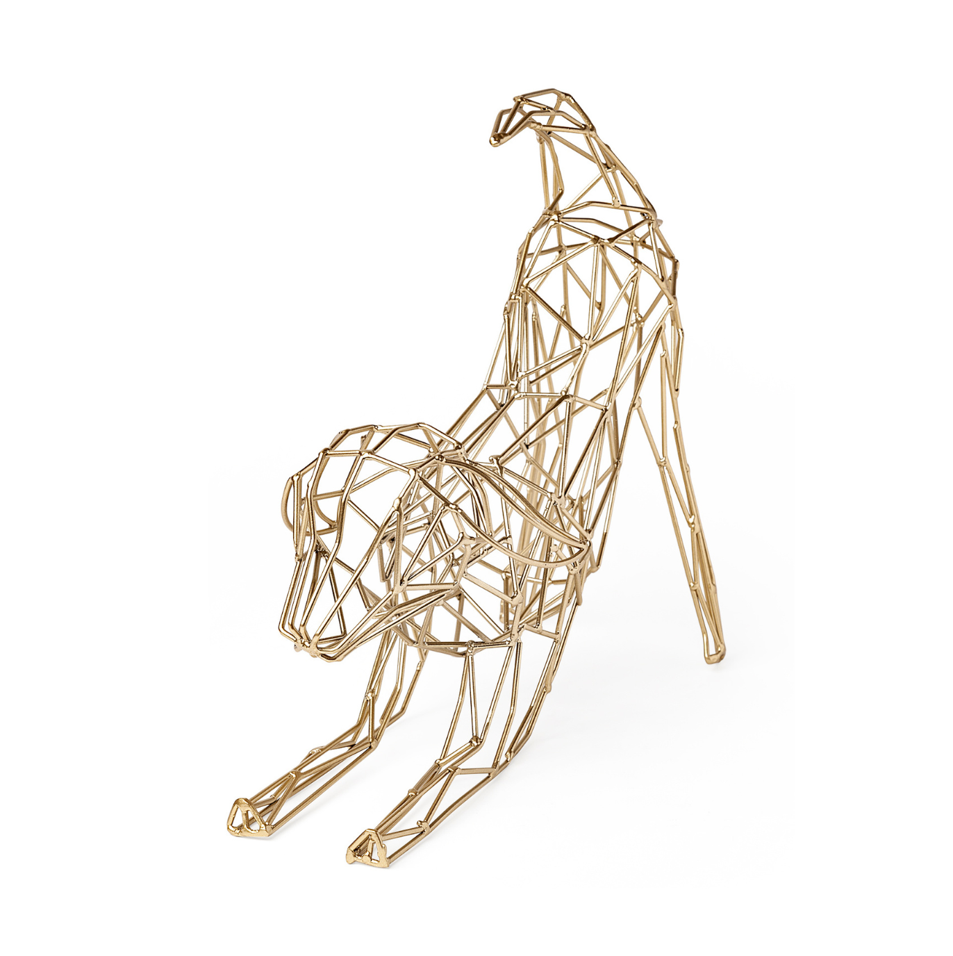 Frankie II Gold Wire Dog