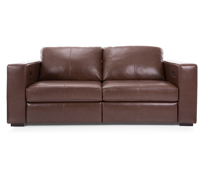 James Power Reclining Sofa - Leather