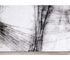 Platinum - Area Rug - White/Black