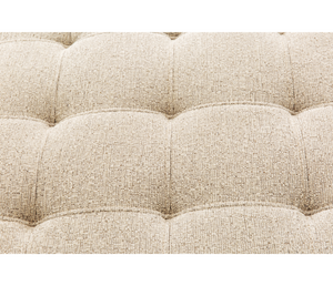 Reign 2 Piece Sectional