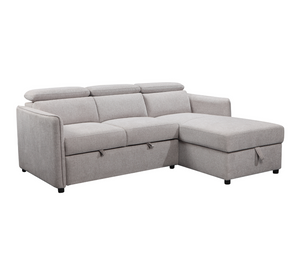 Nico 2 Piece Sectional w/ Pull-Out Sleeper