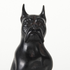 Rocky Boxer Dog