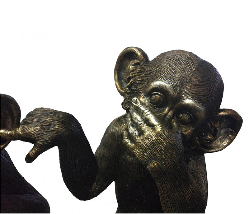He did it, Chimps - Set of 3