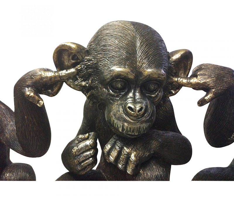 He did it, Chimps - Set of 3